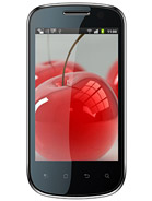 Best available price of Celkon A19 in Madagascar