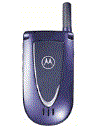 Best available price of Motorola V66i in Madagascar